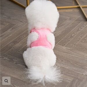 Juicy Couture Pink Rhinestone Crown Dog Harness & Leash Set LG - NEW